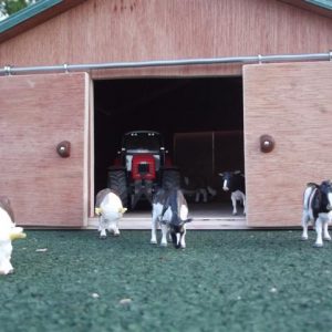 Farm Shed Sliding Door's added cow cubicles