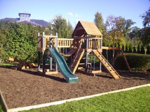 Pioneer play centre tree house swings plus slide