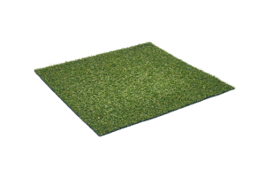 Astra_Star grass sttswings