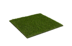 _Magnolia_Lizard_sttswings_Ireland_Carlow_synthetic_grass