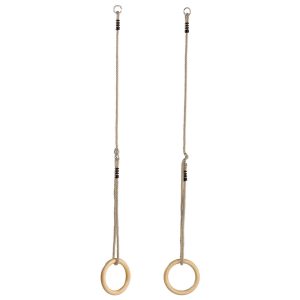 Gym Rings sttswings